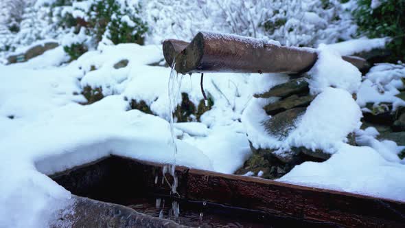 Small Spring with Clean Transparent Water Among the Forest in the Carpathian Mountains alt