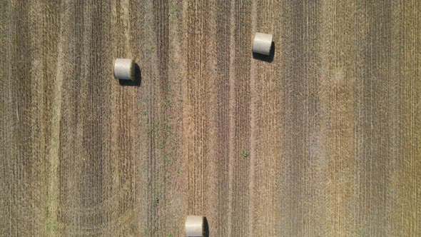 Aerial View Of Harvest Fields