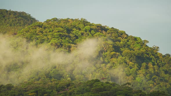 Timelapse Of Misty Fog Over Atlantic Forest Mountain In Petrópolis, Rio de Janeiro alt