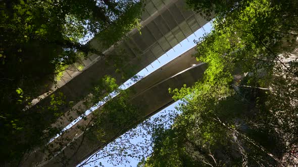 Spinning top shot of giant bridge and high trees in rural forest during sunlight. alt