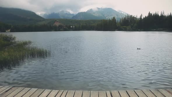 Peaceful Clear Mountain Lake Pine Wood on Lakeside