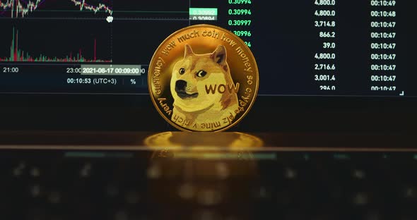 Cryptocurrency Rate DOGE Coin alt