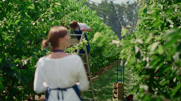 Agribusiness Partners Inspecting Plantation Collecting Data Cooperating Concept alt