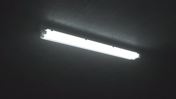 Double Fluorescent Lighting Turn On, Buzzing Light Fixture