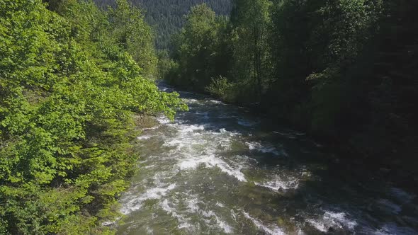 Aerial Drone Footage Of Rushing Water Rapids Between Evergreen Trees 1