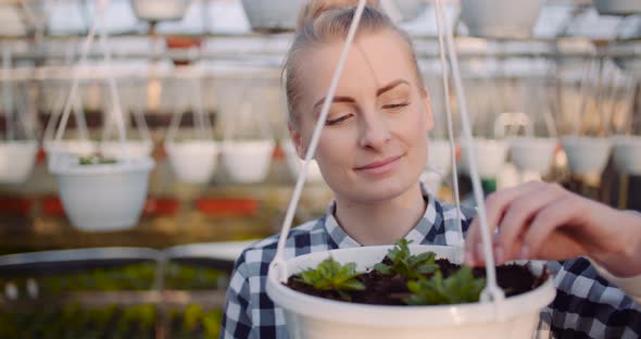 Agriculture Business - Smiling Gardener Working with Flowers in Greenhouse alt