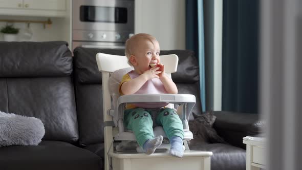 Cute Kid Sitting in Booster Seat with Feeding Tray Fixed on Top of Dining Chair One Year Old Baby alt