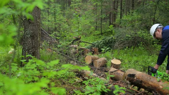 Man with chainsaw working in forest