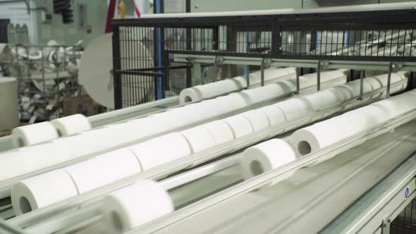 A Working Conveyor in a Paper Mill. Technology. Factory. Kyiv. Ukraine alt