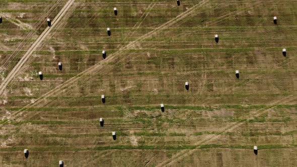 Golden Autumn in Sunny Weather the Beauty of Nature alt