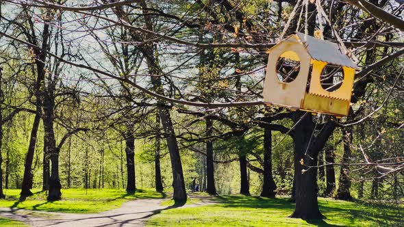 Closeup of a Birdhouse in the Park on a Clear Sunny Spring Day Lush Green Grass in the Meadows alt