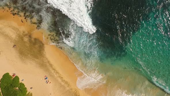 Oahu Beach Surf