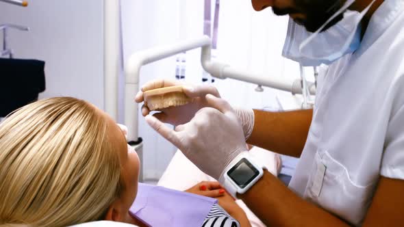 Dentist showing model teeth to female patient alt