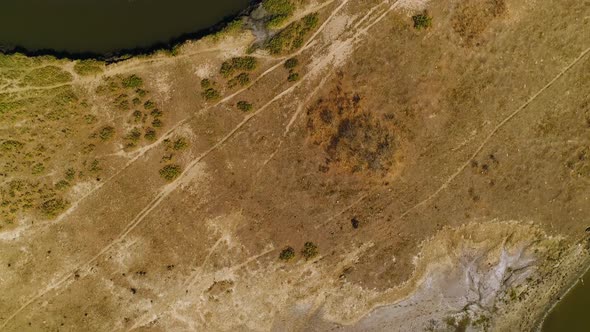Aerial view above of a serpentine stream with riparian forest, Brazil. alt