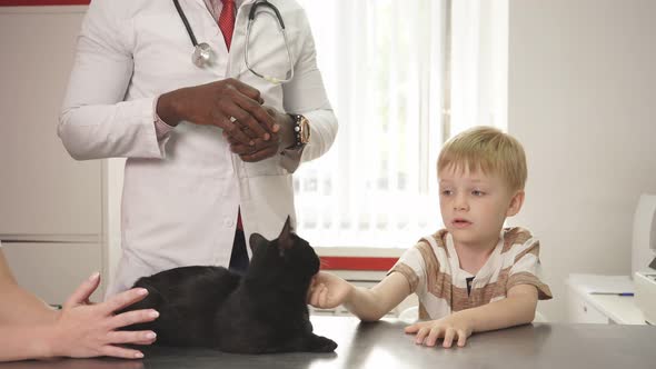 Handsome Doctor Veterinarian Is Examining Cute Cat While His Owner Is Standing Nearby alt