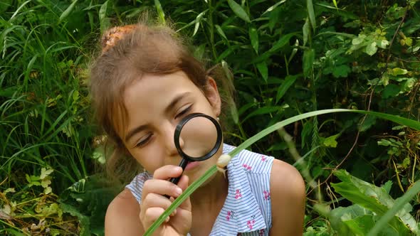 The Child Looks at the Snail Through a Magnifying Glass