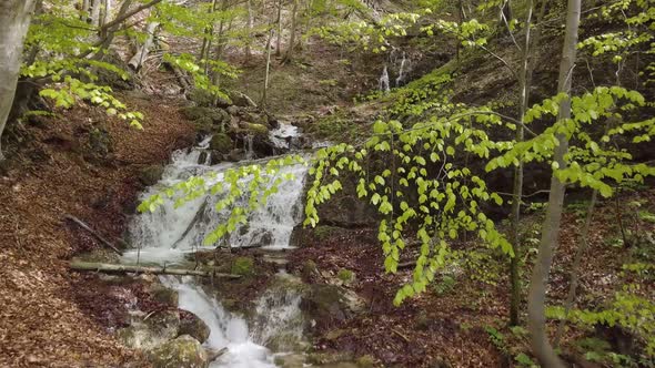 Motion over Mountain Stream Flow in Sunny Spring Forest with Green Trees alt
