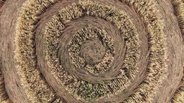 Mysterious Mystical Geometric Signs alt