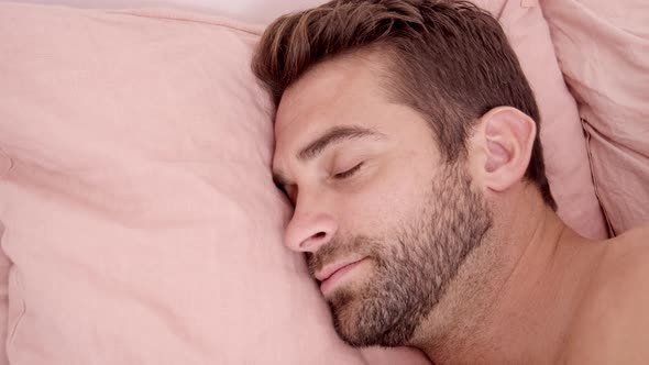 Handsome Guy Sleeping alt