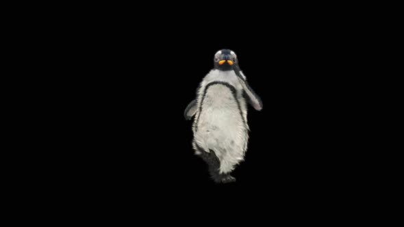 Penguin Dancing HD alt