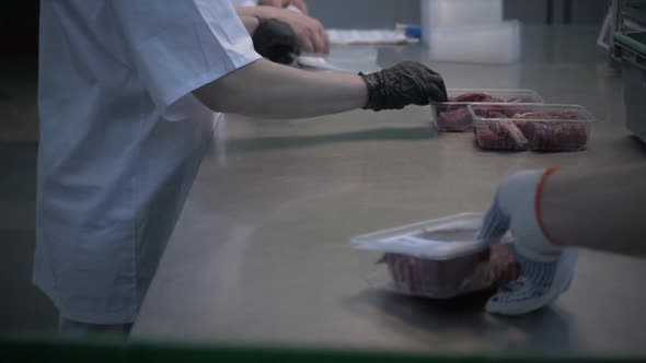 Female Worker Pushed Fresh Raw Beef Meat in Trays on Table in Slaughterhouse alt
