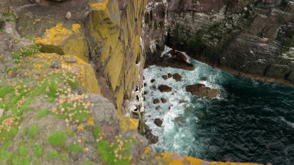 Turquoise blue and green waves crash against the base of a seacliff covered in a colony of seabirds alt
