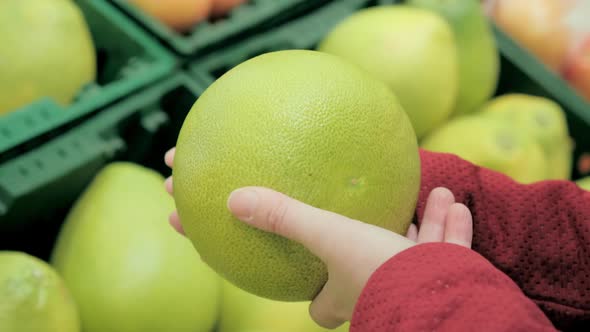 Buy Citrus Maxima in Supermarket