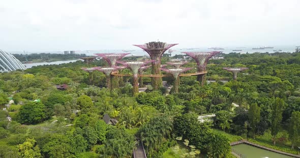 Aerial Footage of Supertree Grove Done By Drone Going Down Towards the Bridge, Gardens By the Bay