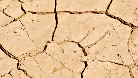 The cracked surface of a dry lake alt