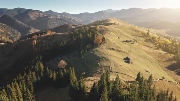 Epic Aerial Flight Over Sunset Mountain Peak with Pine Tree Forest Yellow Autumn Meadows Landscape alt