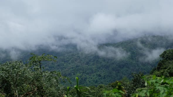 Landscape of foggy greenery rainforest mountains and hills