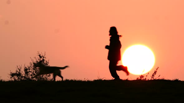 Man Walking his Dog at Sunset