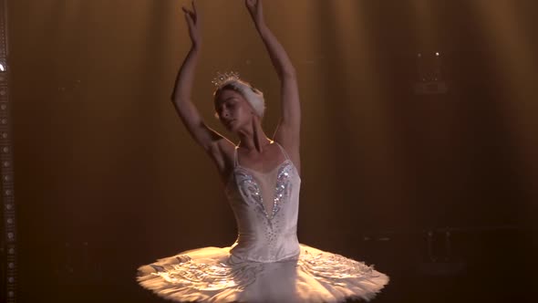 Graceful Ballerina in a Chic Image of a White Swan. Young Beautiful Girl in a White Tutu with alt