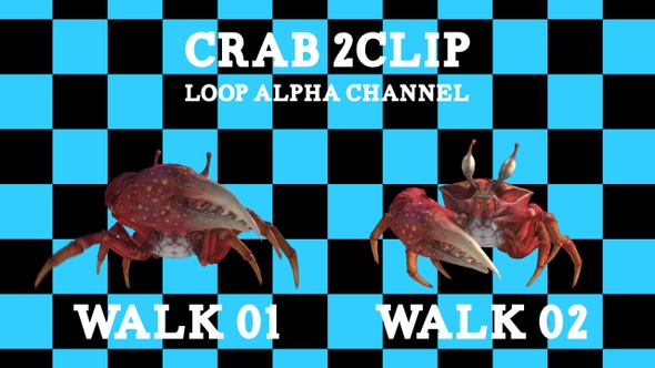 Crab 2 Clip Loop