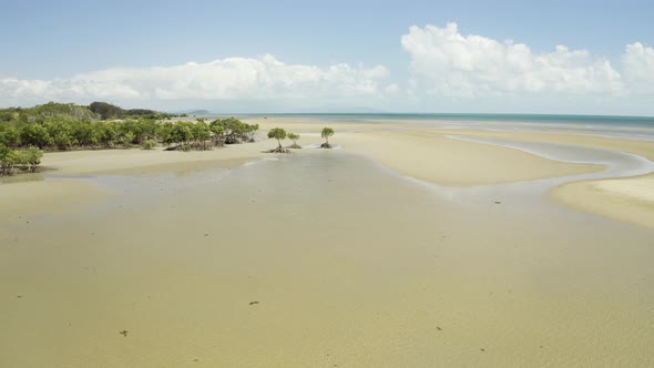 Aerial, Low Tide And Huge Sand Ocean Bed And Mangroves Growing In Queensland Australia