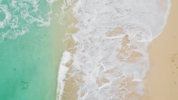 Aerial Top Down Following Shot Woman Walking By the Beach on Sunny Summer Day alt