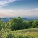 Green Plants Meadow In The Mountains On A Spring Sunny Day Hyperlapse 1 - VideoHive Item for Sale