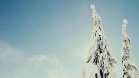 Snowy Winter Blizzard Snow Storm Background Copy Space Title Area alt