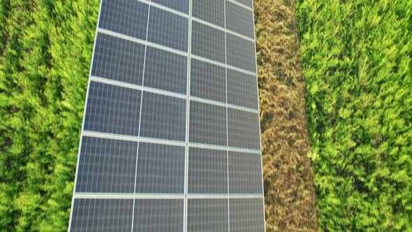 Aerial View Solar Power Station on Green Field at Sunset Solar Panels in Row alt