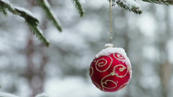 Christmas Ball Hanging on the Christmas Tree