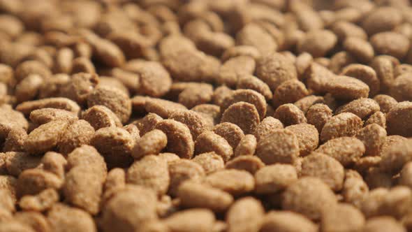 Heap of cat or dog food  shallow DOF  4K 2160p 30fps UltraHD footage - Dry  pet pellets on  pile clo alt