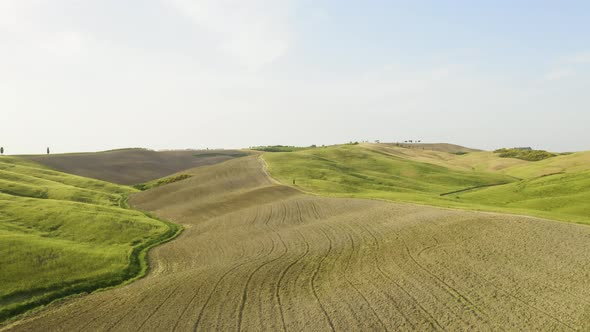 Hills and Meadows alt