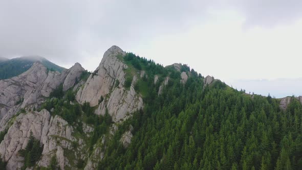 Flying Above the Mountains in the Summer