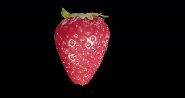 Red Strawberry Rotates Alpha Channel