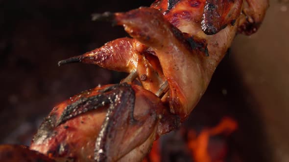 Slowmotion Panorama of Juicy Quails on the Skewer Roasting Above the Open Fire alt
