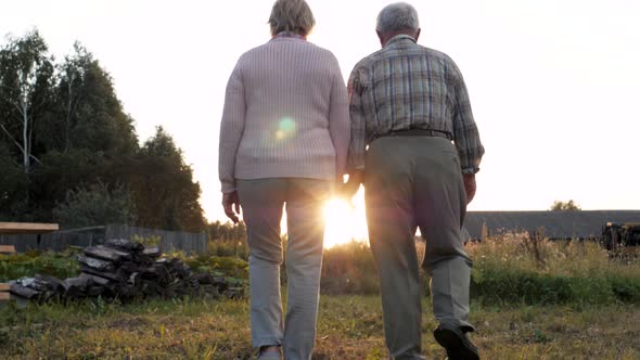 Elderly Couple Holding Hands On Background Of Green Nature With Sunset Sunlight alt