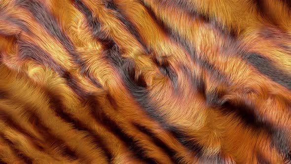 Tiger Stripes Fur Texture alt