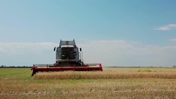 Harvester Collects Wheat