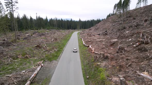 Following a lone white SUV through a recently clear cut forest area, aerial track alt