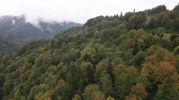 Nature of Ukraine: Carpathian Mountains Slow Motion. Aerial View alt